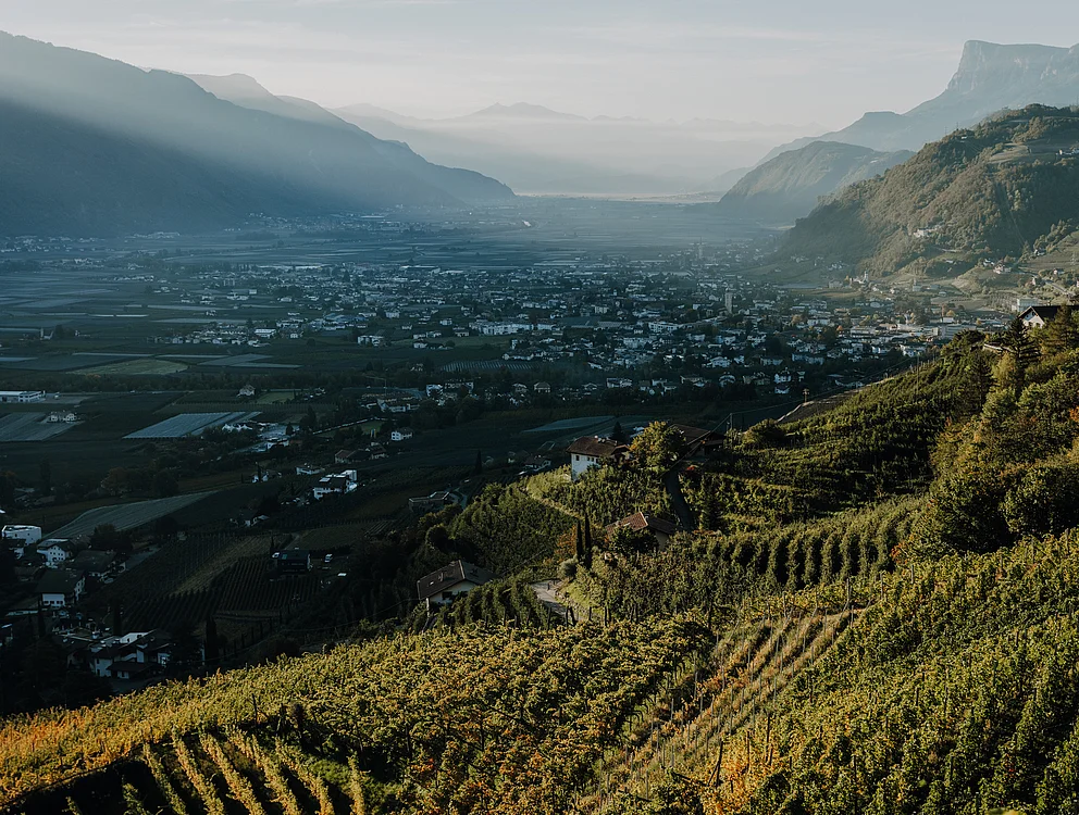 Das ganze Jahr Sonne, Genuss, Kultur und Aktivität