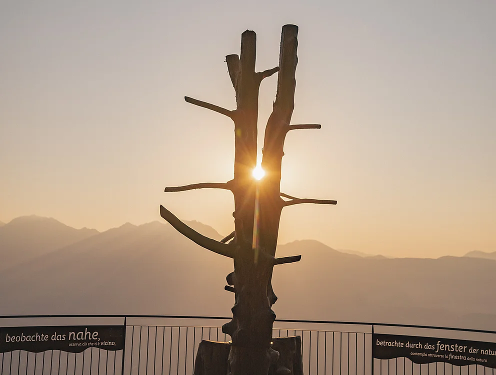 Das ganze Jahr Sonne, Genuss, Kultur und Aktivität