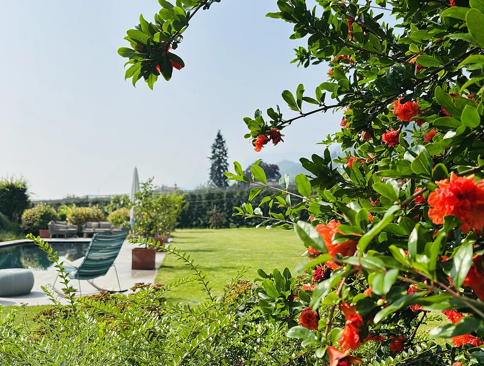 Un'oasi in giardino per staccare la spina e rigenerarsi